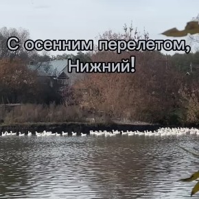 Сегодня в Нижнем температура воздуха: утром +4, дождь, пасмурно, днем...+8 облачно, вечером....+8, пасмурно