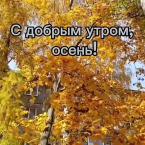 Сегодня в Нижнем температура воздуха: утром +7, дождь, пасмурно, днем...+7 облачно, вечером....+5, пасмурно