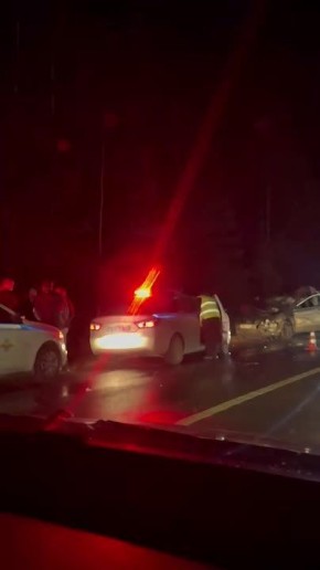 Водитель погиб на месте в аварии с лосем в Богородском районе