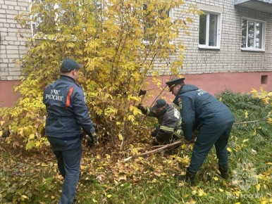 «35 добрых дел»: пожарные Навашино с заботой о городе